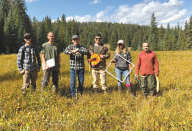 Rocky Mountain Fens: Little-known ecosystems vital to biodiversity, water and climate - Crested Butte News