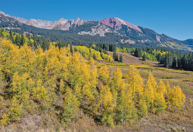 is-a-bird-in-the-hand-worth-a-path-by-a-ditch-the-crested-butte-news