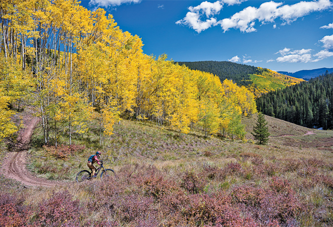 The Golden Mood of Fall – The Crested Butte News